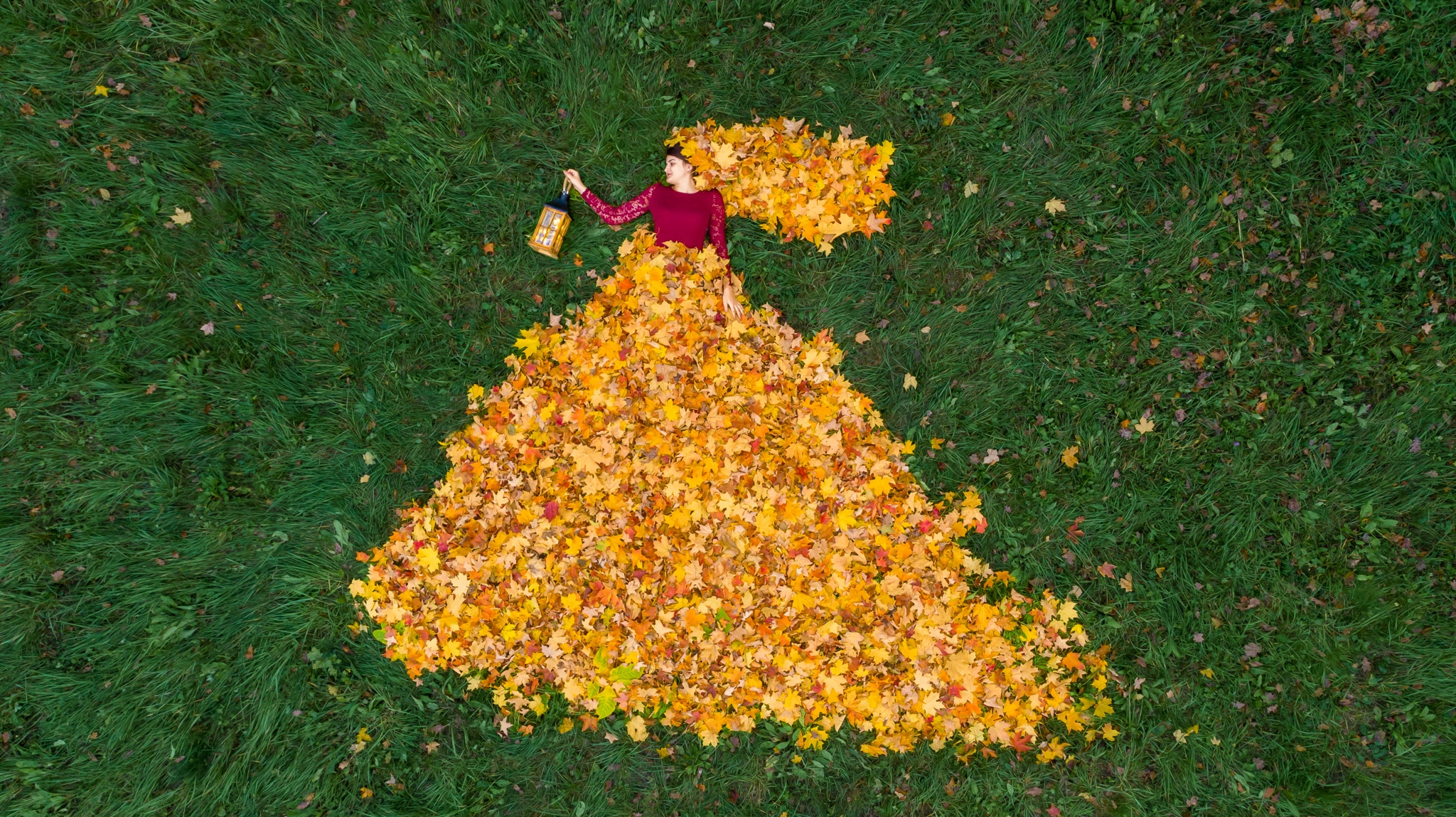 Ședințe foto natură Timișoara - fotografie 1 - Brancu Cristian
